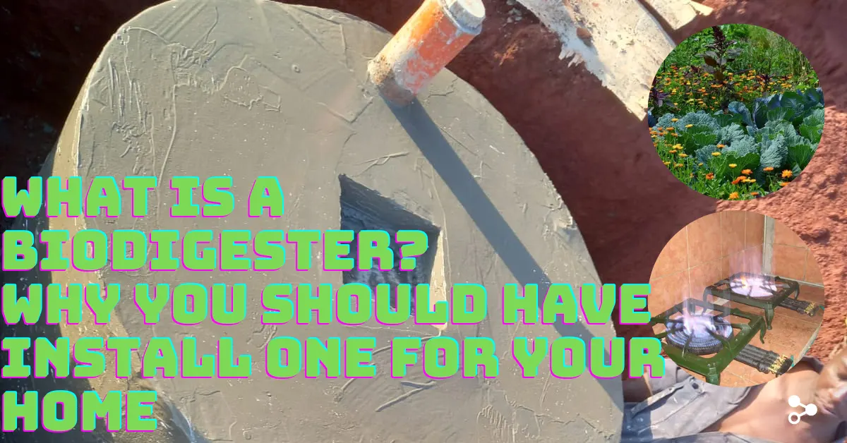 What is a Biodigester? 2 main reasons you should have it in your home
