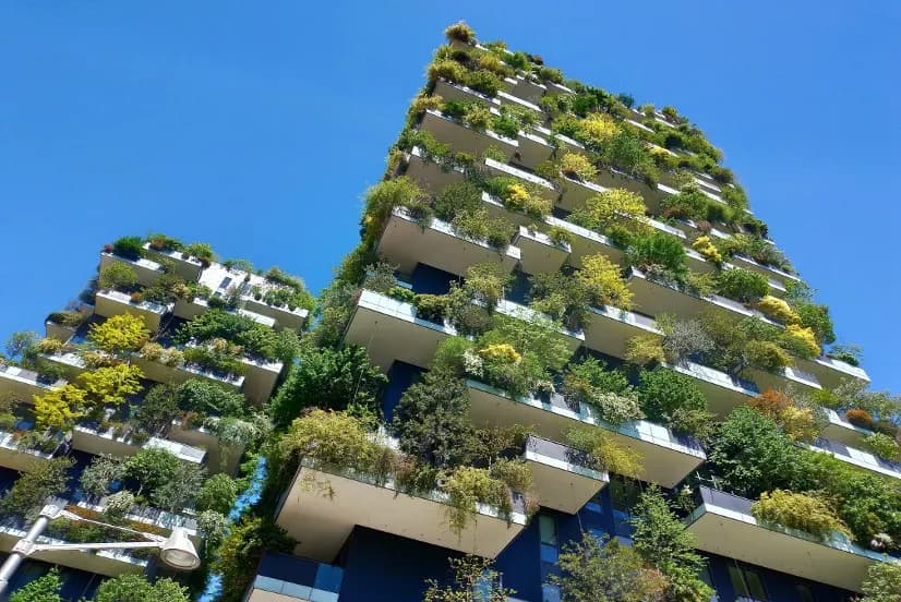 Biophilic Design: Bringing Nature into the Built World